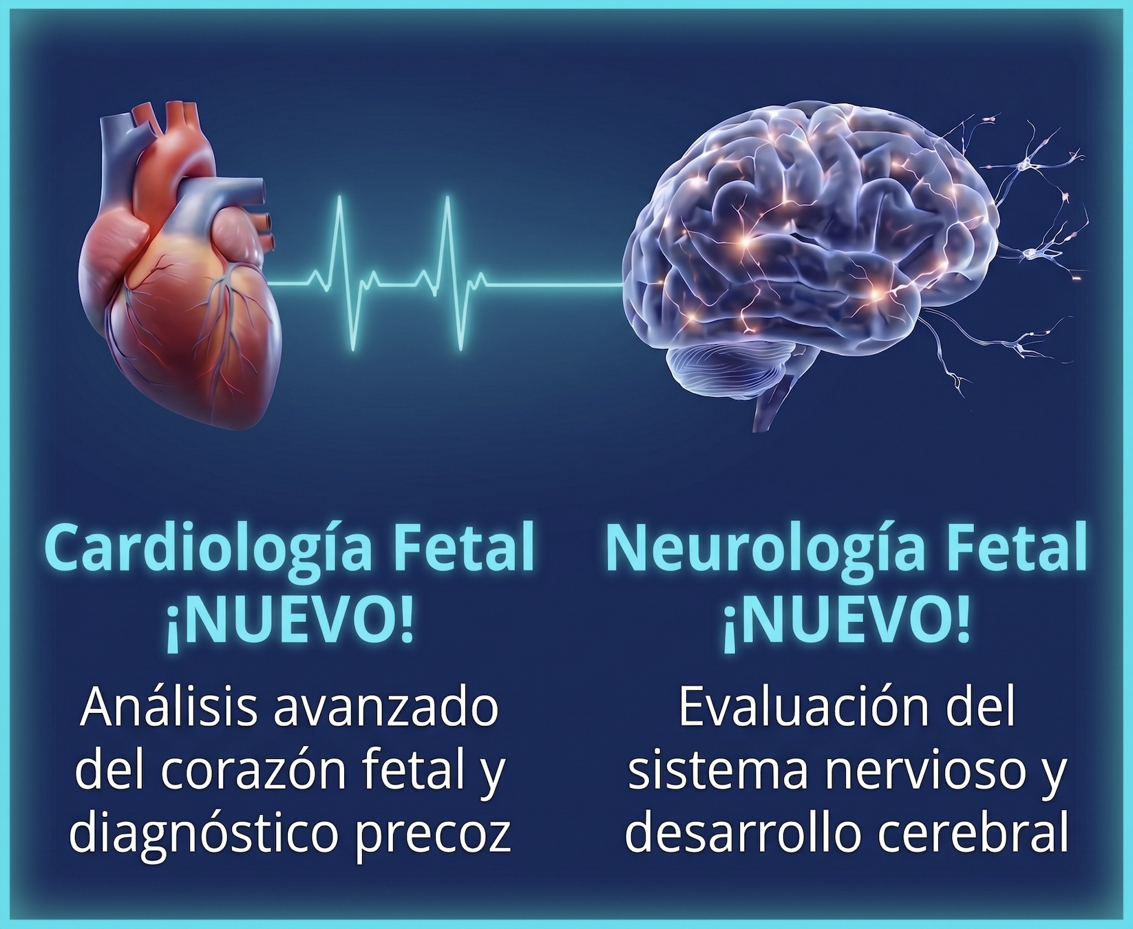 Neurologia y cardiologia fetal